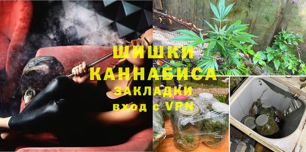индика Балахна