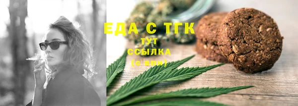 индика Балахна