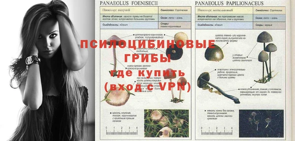 индика Балахна