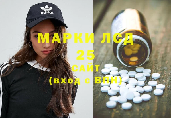 индика Балахна