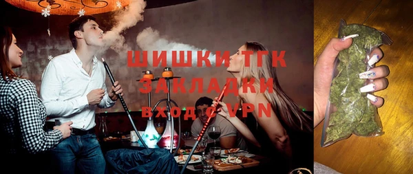 мдпв Рославль