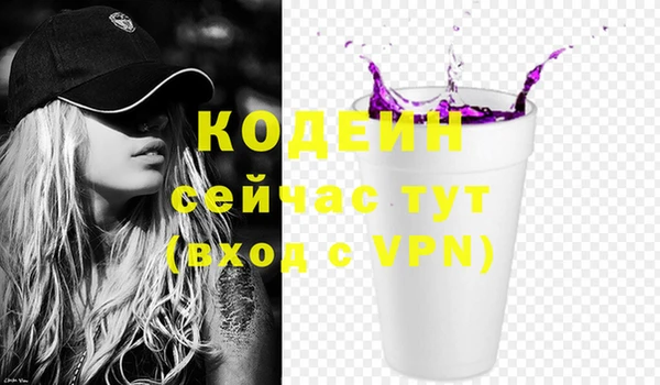 индика Балахна