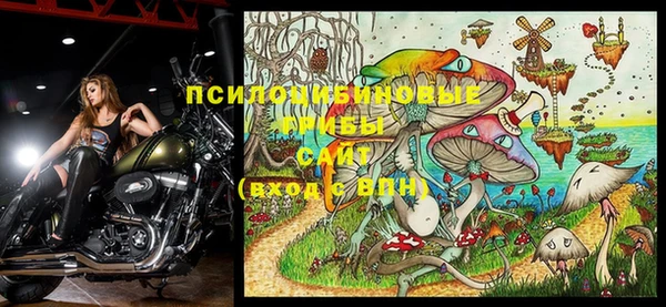 индика Балахна