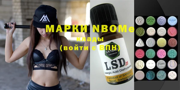 индика Балахна